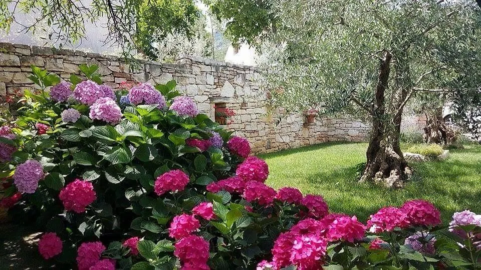 Apartments Villa Ina Brsec